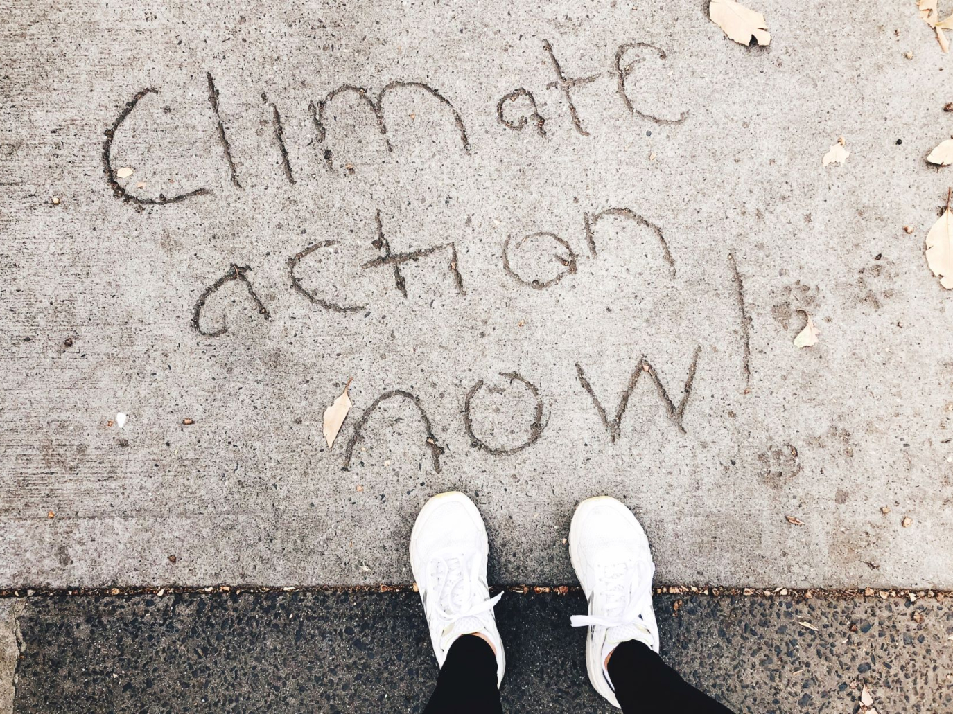 Gli obiettivi del nuovo intergruppo parlamentare sui cambiamenti climatici