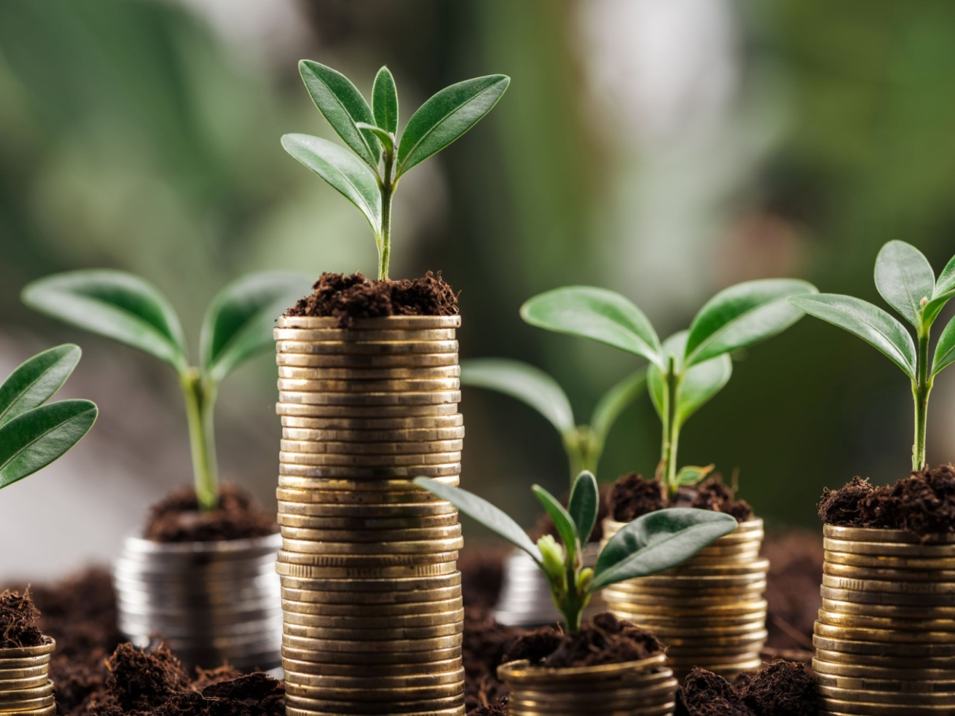 Startup, EmCoin: energia come una moneta per tutelare l’ambiente