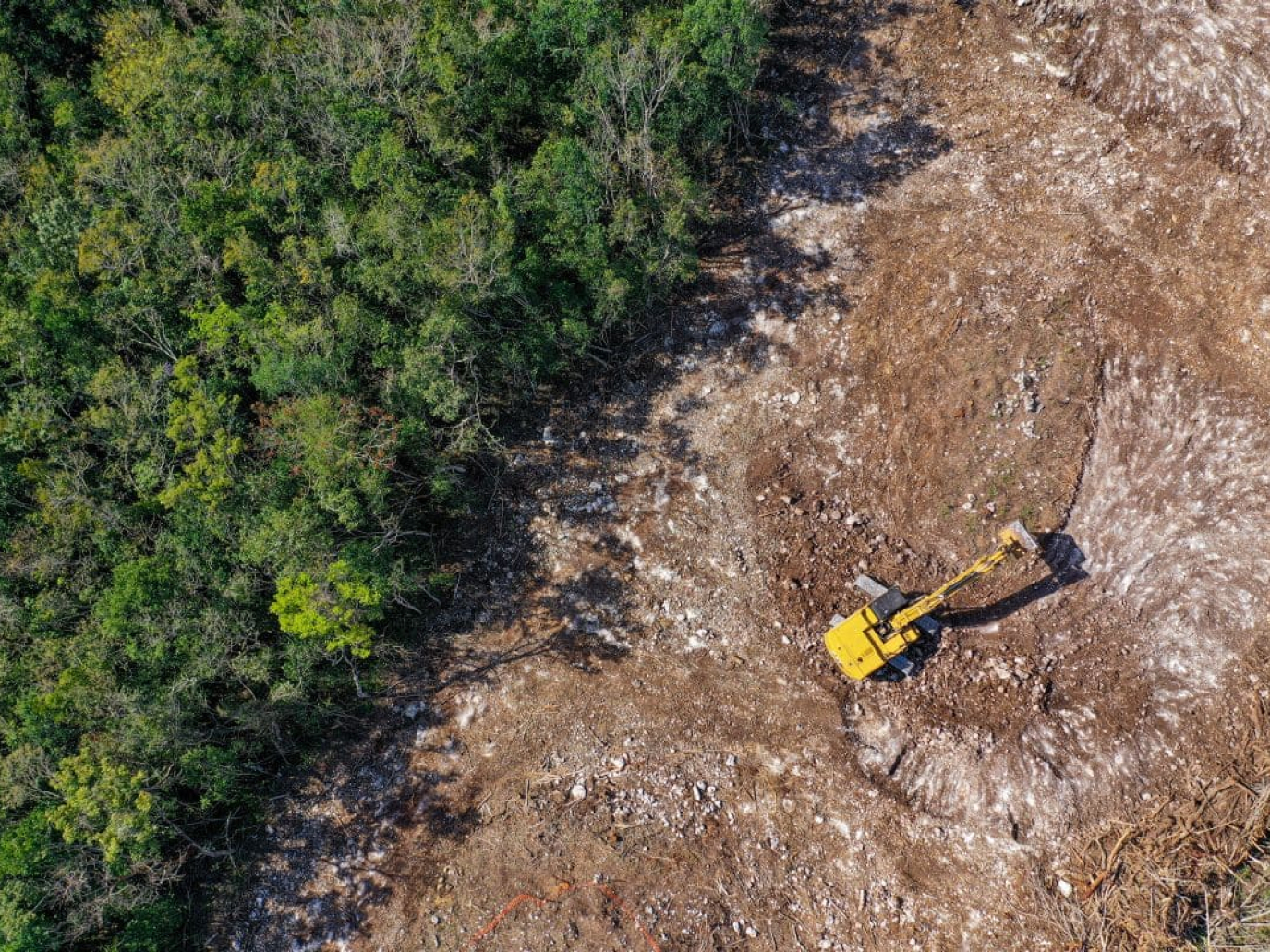 COP16 bis, ancora lontano il target Biodiversità 30 by 30