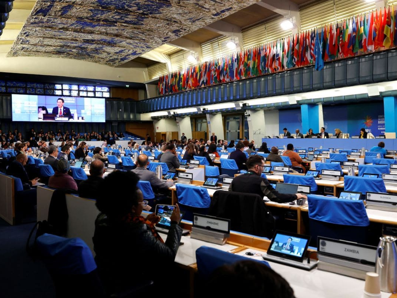 COP16 bis, tre giorni per rilanciare l’agenda globale per la biodiversità