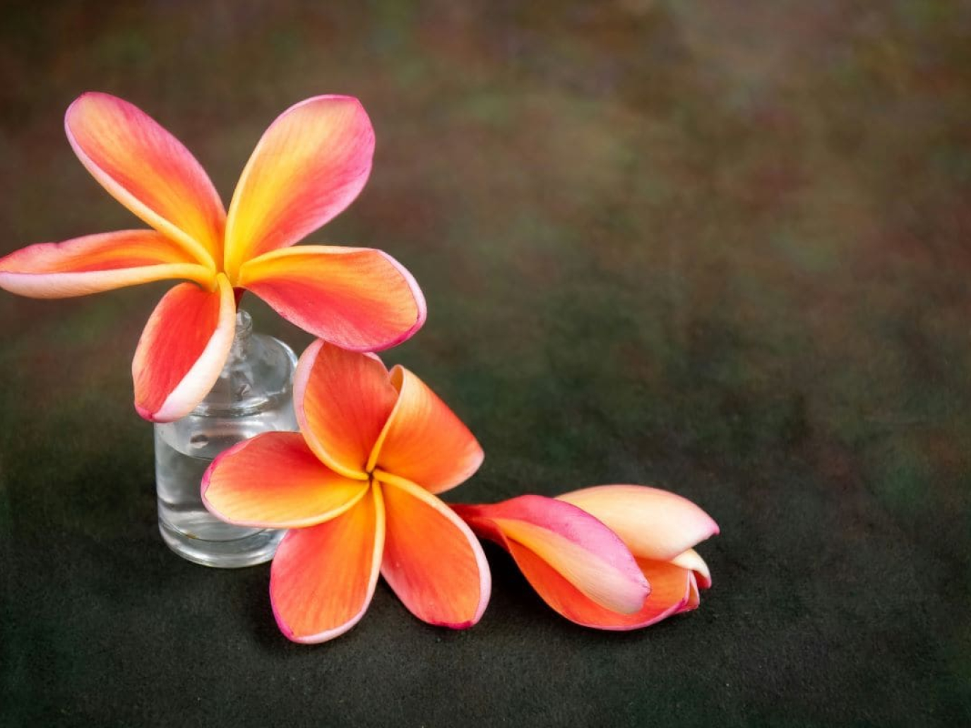 COREPLA insegna ai giovani detenuti a trasformare le bottiglie di PET in opere d’arte