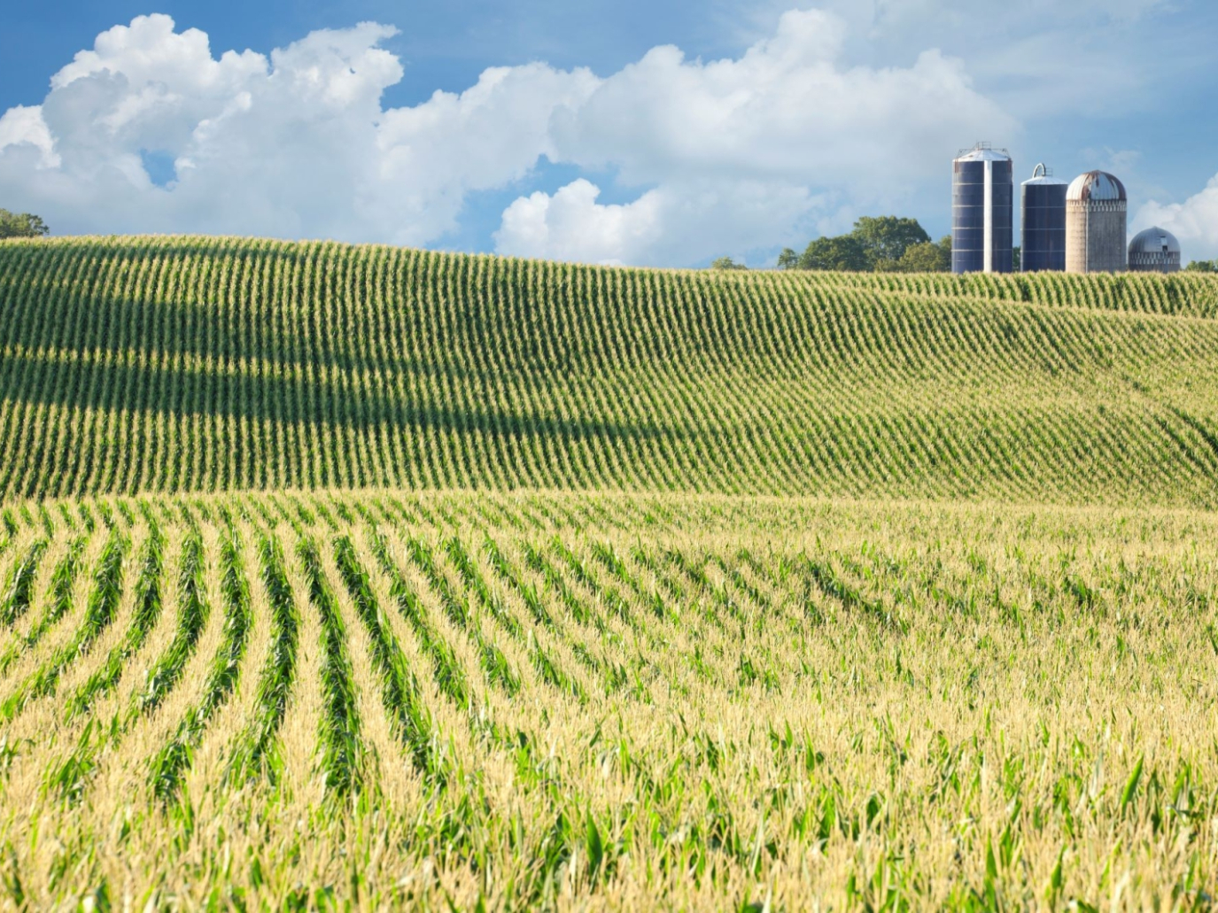 Bioeconomy day 2024, il 23 maggio è la giornata nazionale della bioeconomia