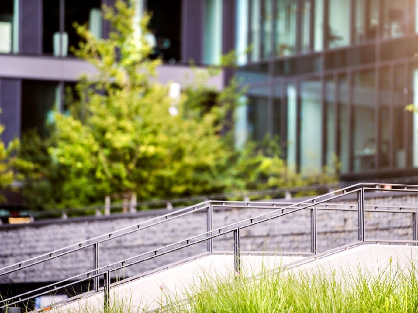 Corporate renewable procurement: greenwashing or key driver of the EU’s clean industrial deal?