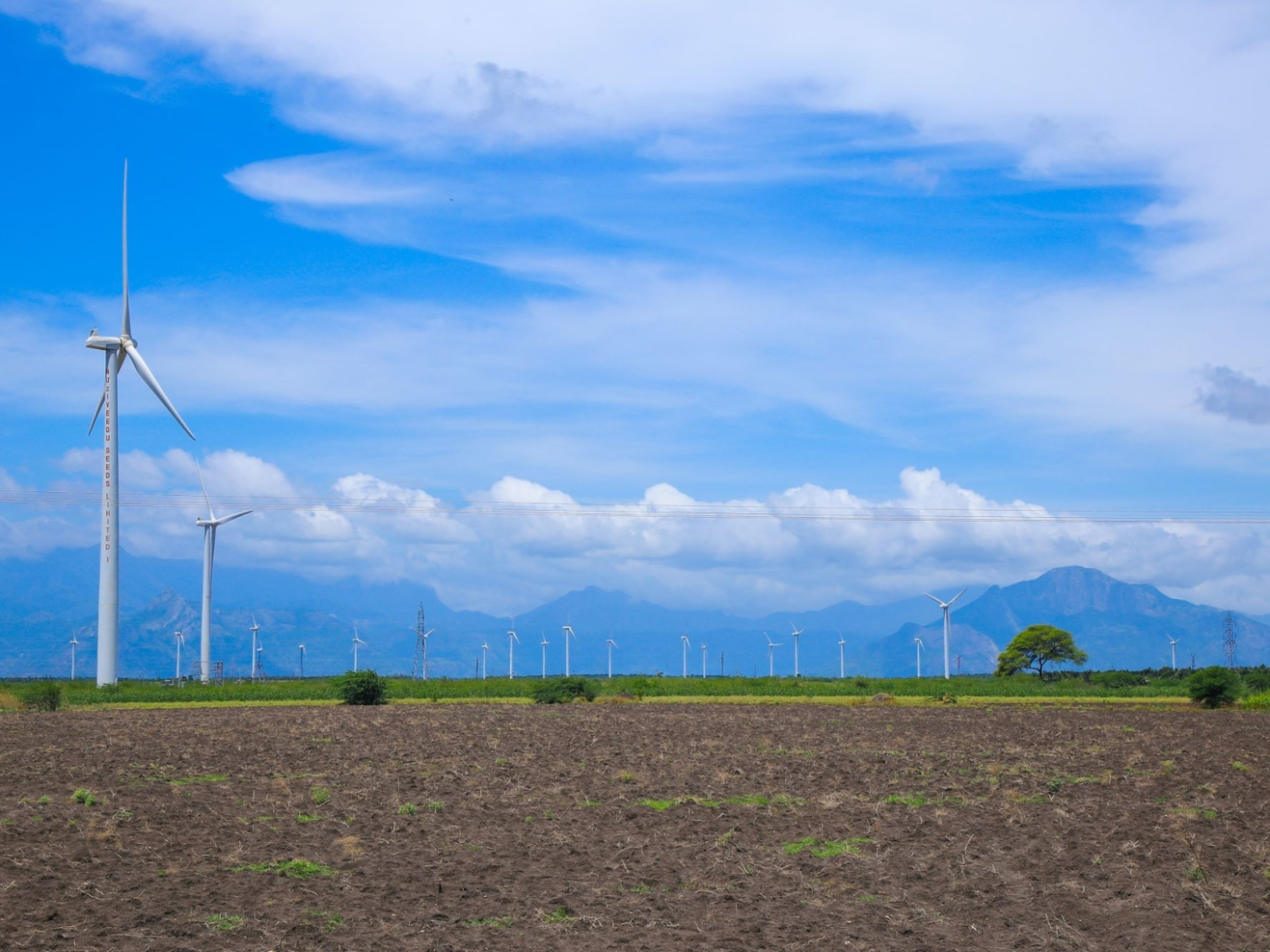 Corrado (PD): la transizione ecologica è la via migliore per rilanciare la nostra economia