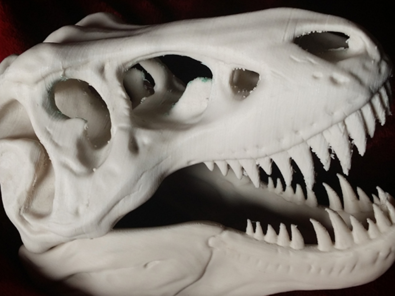 Biomaterials Come out on Top