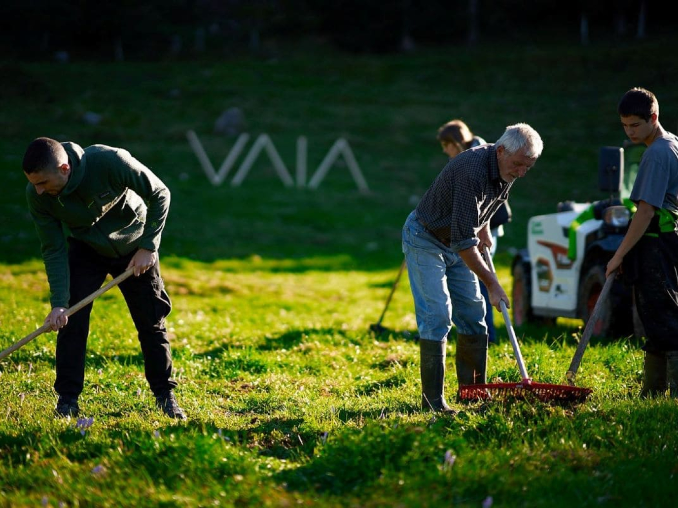 Dagli abeti delle Dolomiti agli ulivi del Salento: progetti che rigenerano territori e comunità