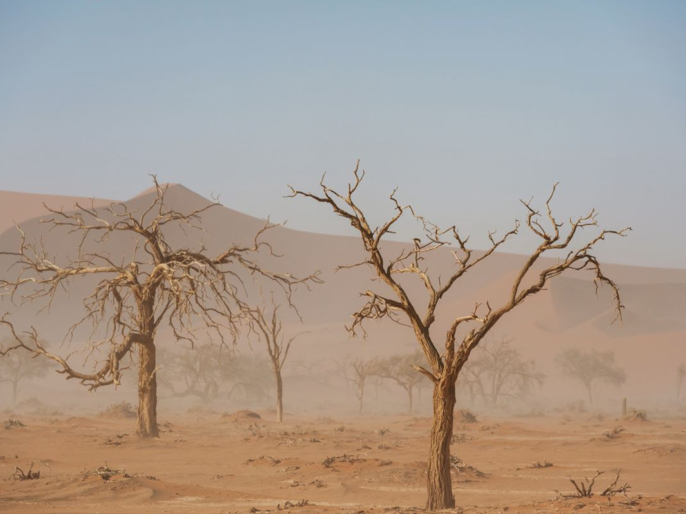 COP16 Desertificazione, inizia il negoziato per la tutela dei suoli