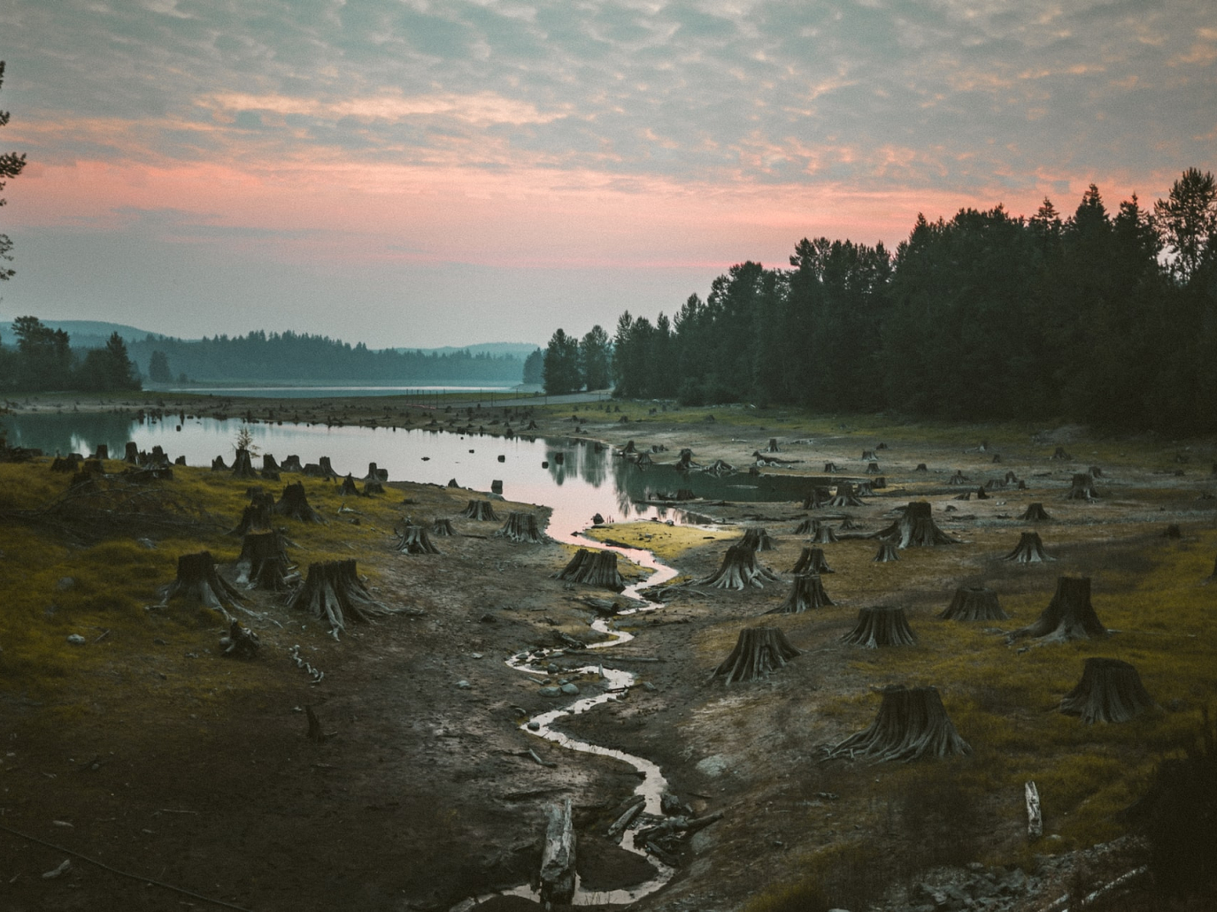 Raj Patel: How to Cure an Inflamed World