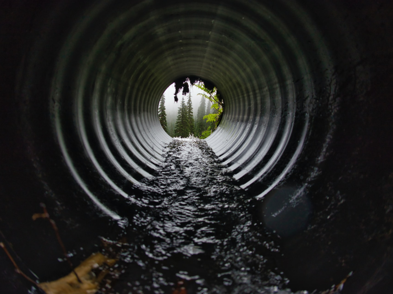 Depurazione: l’UE continua a condannare l’Italia, ora servono soluzioni