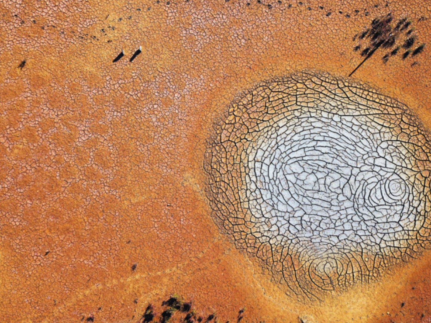 Desertification: is Europe on the Brink of a Soil Crisis?