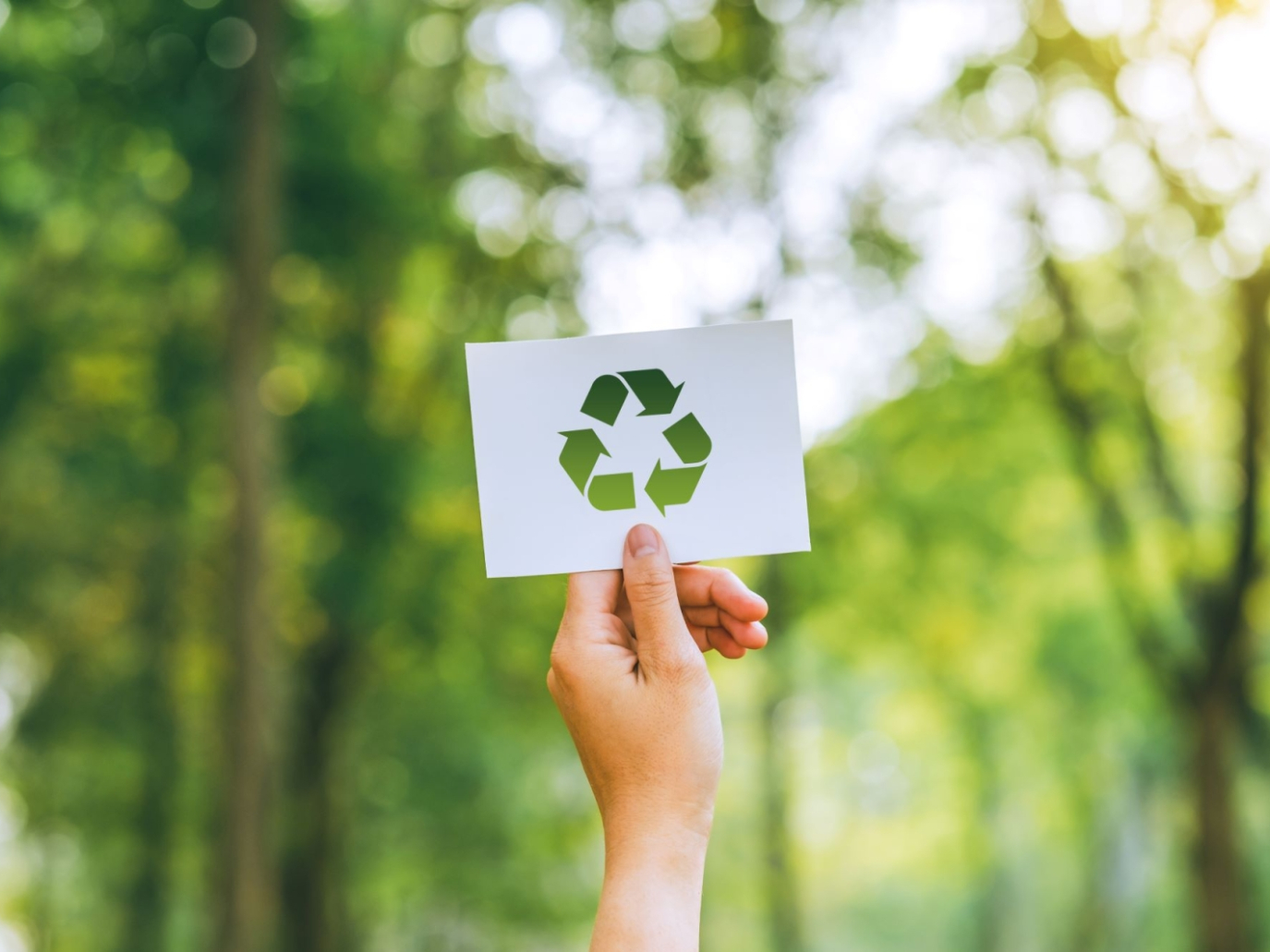 Riparte Safte, la scuola di alta formazione per la transizione ecologica