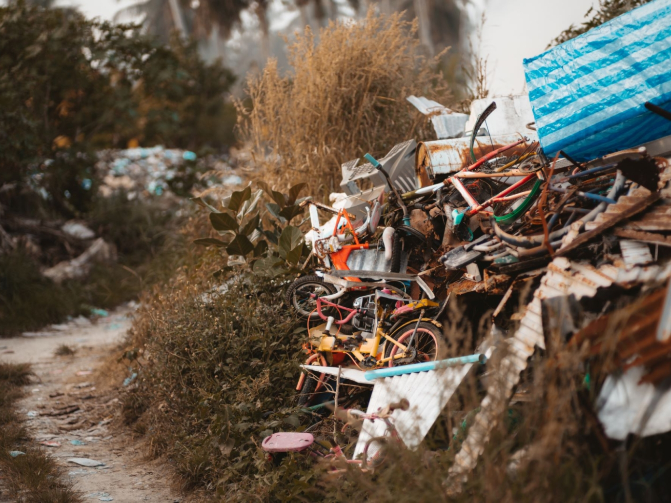 Ecomafia 2023: il nuovo censimento dei reati ambientali in Italia