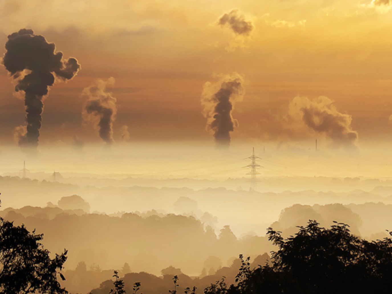 Ecco lo stato dell'economia biobased in Europa