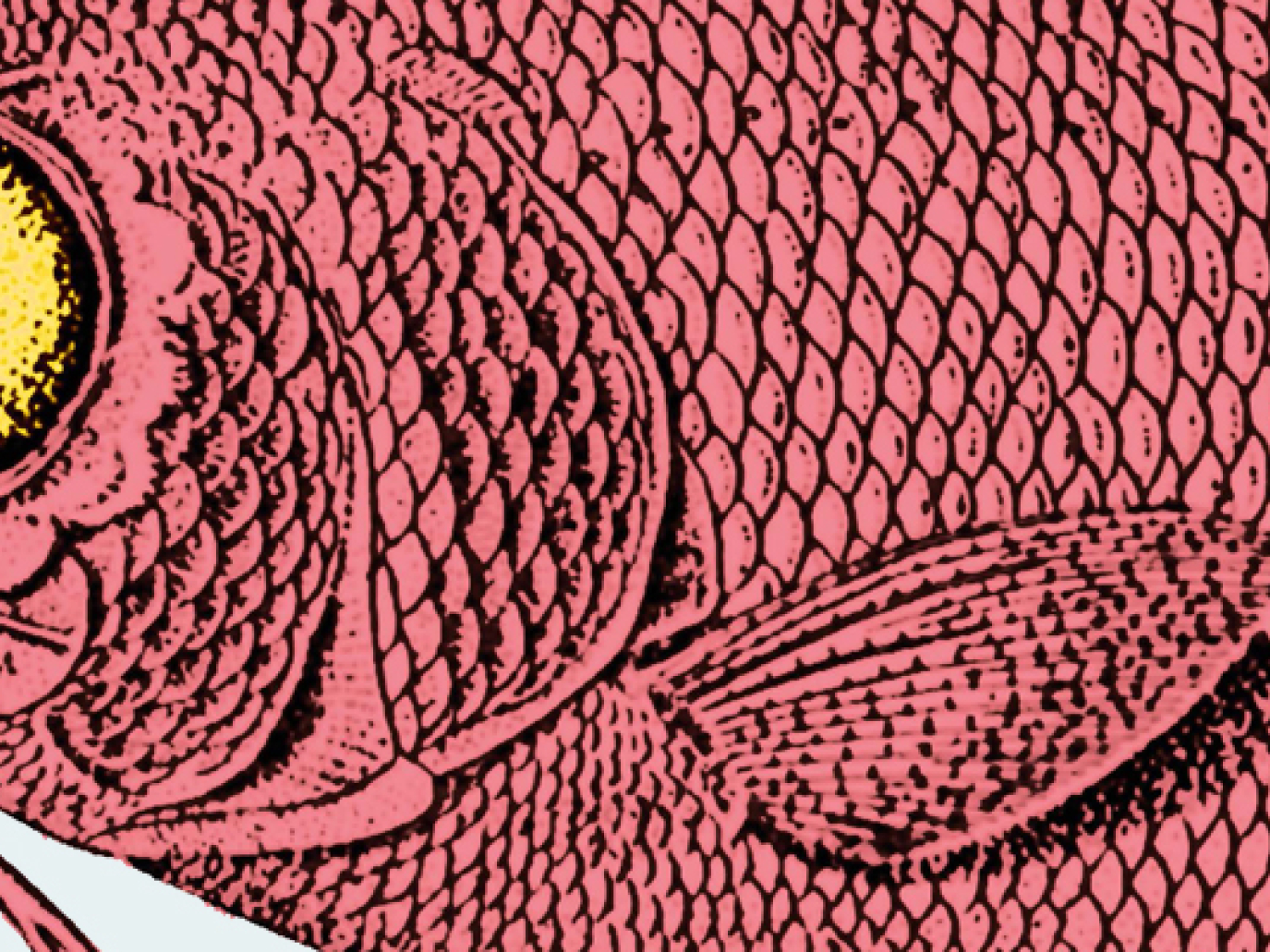 Quando piccolo è meglio