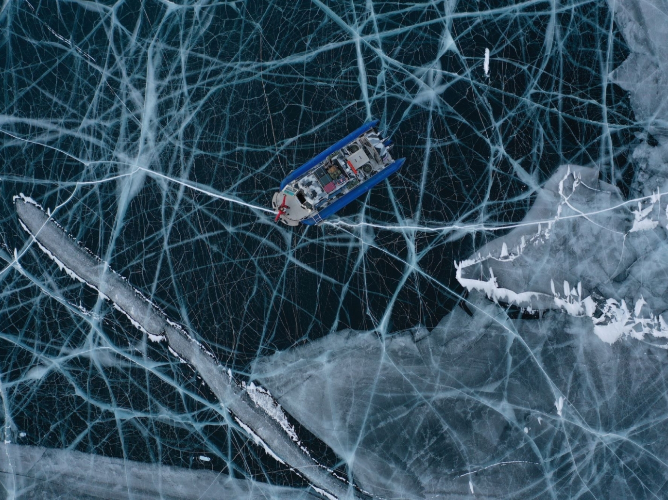 CinemAmbiente: tra consapevolezza e allarme, il meglio del cinema ambientale dal mondo