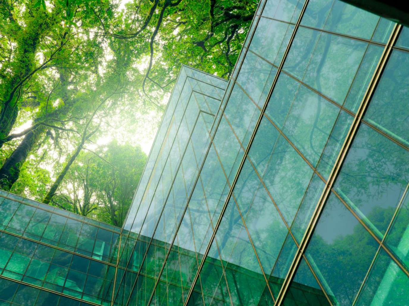 Su i ricavi e l’utile netto, giù le emissioni: il Bilancio di sostenibilità 2023 di Innovatec