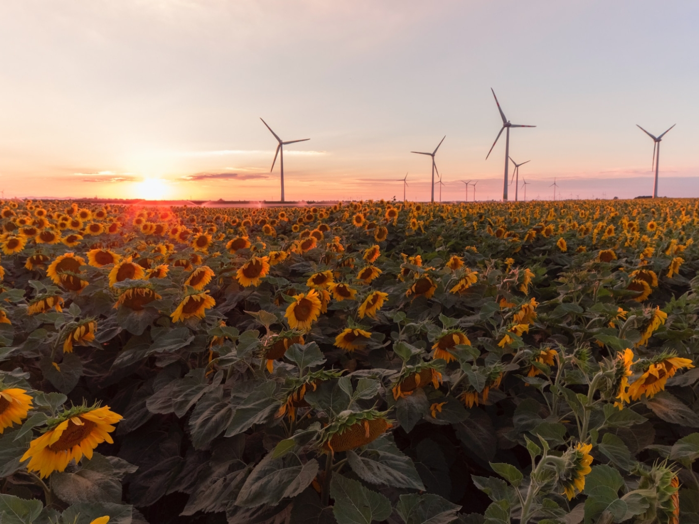 Direttiva energie rinnovabili, Parlamento UE e Consiglio raggiungono l’accordo