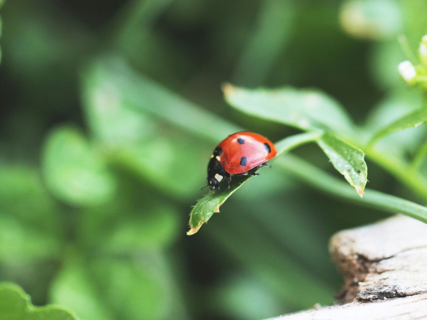 Tutti i vincitori del premio “Verso un’economia circolare”