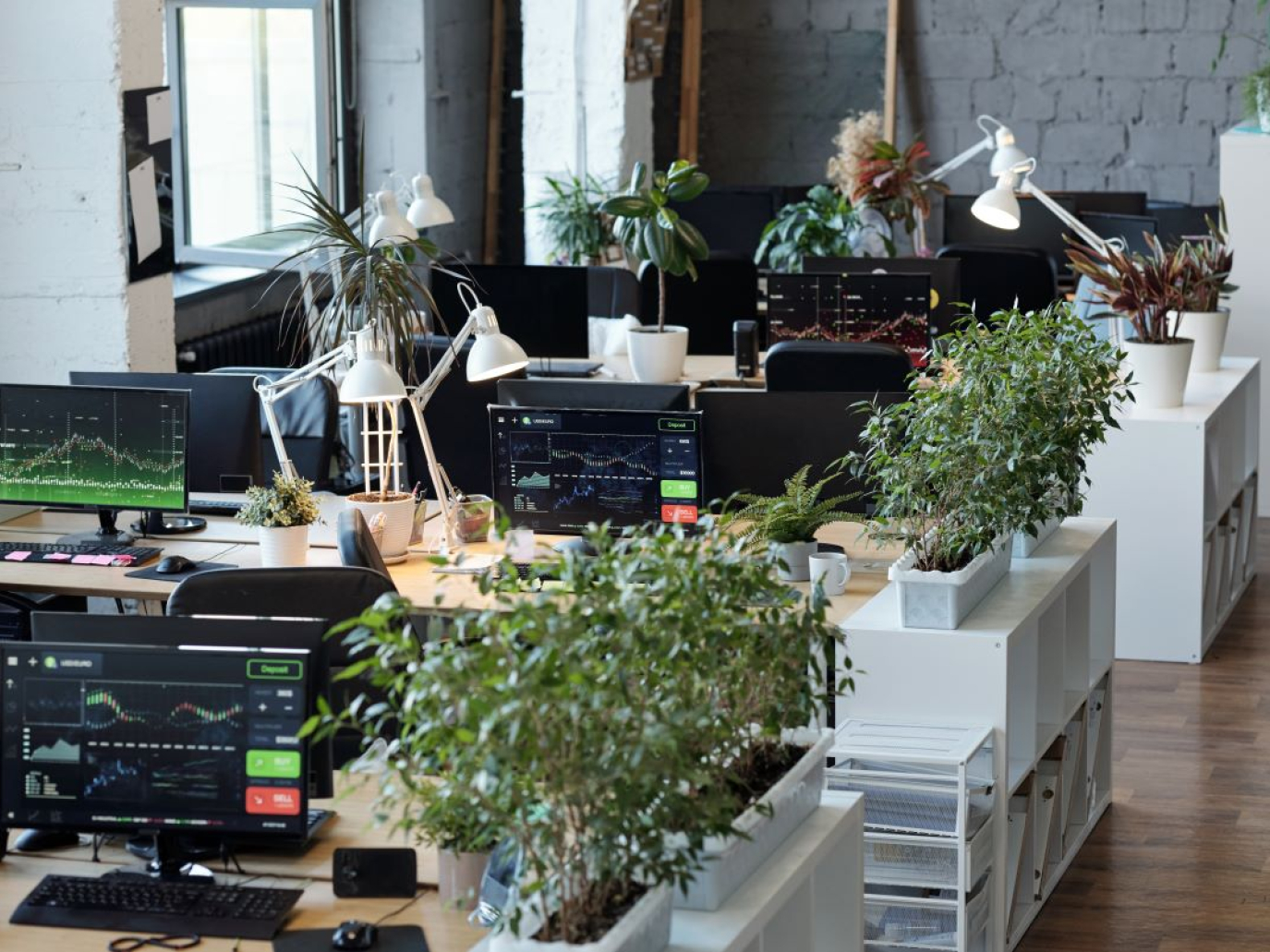 L'Unione Europea ha avviato la semplificazione della rendicontazione ESG