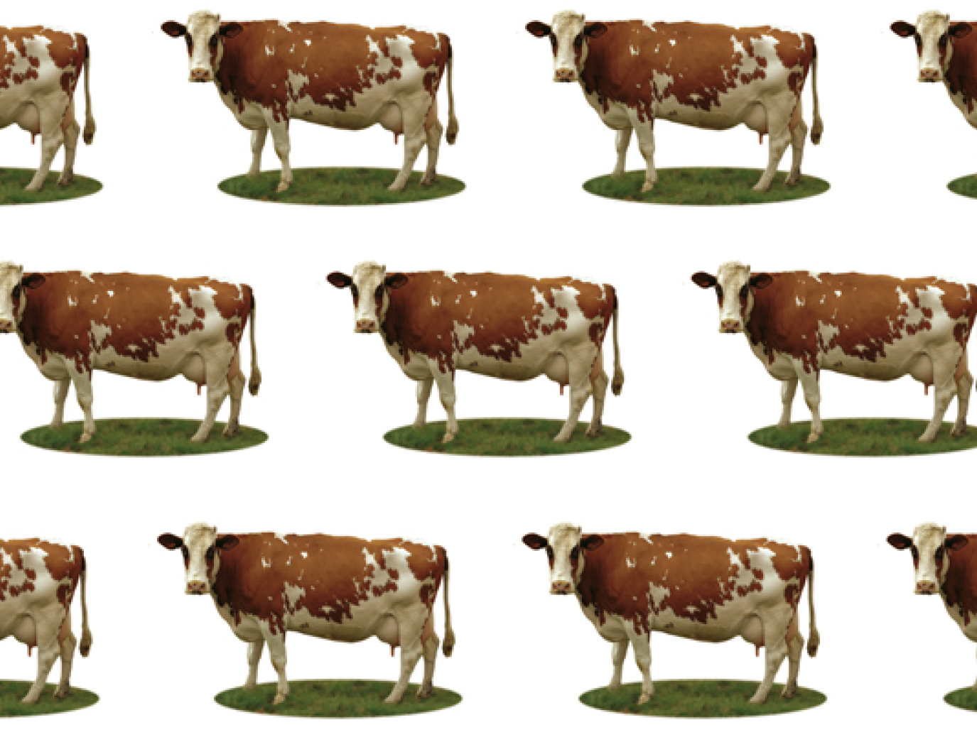 Un tesoretto da campi e foreste, 5,5 miliardi di tonnellate che possono diventare preziose