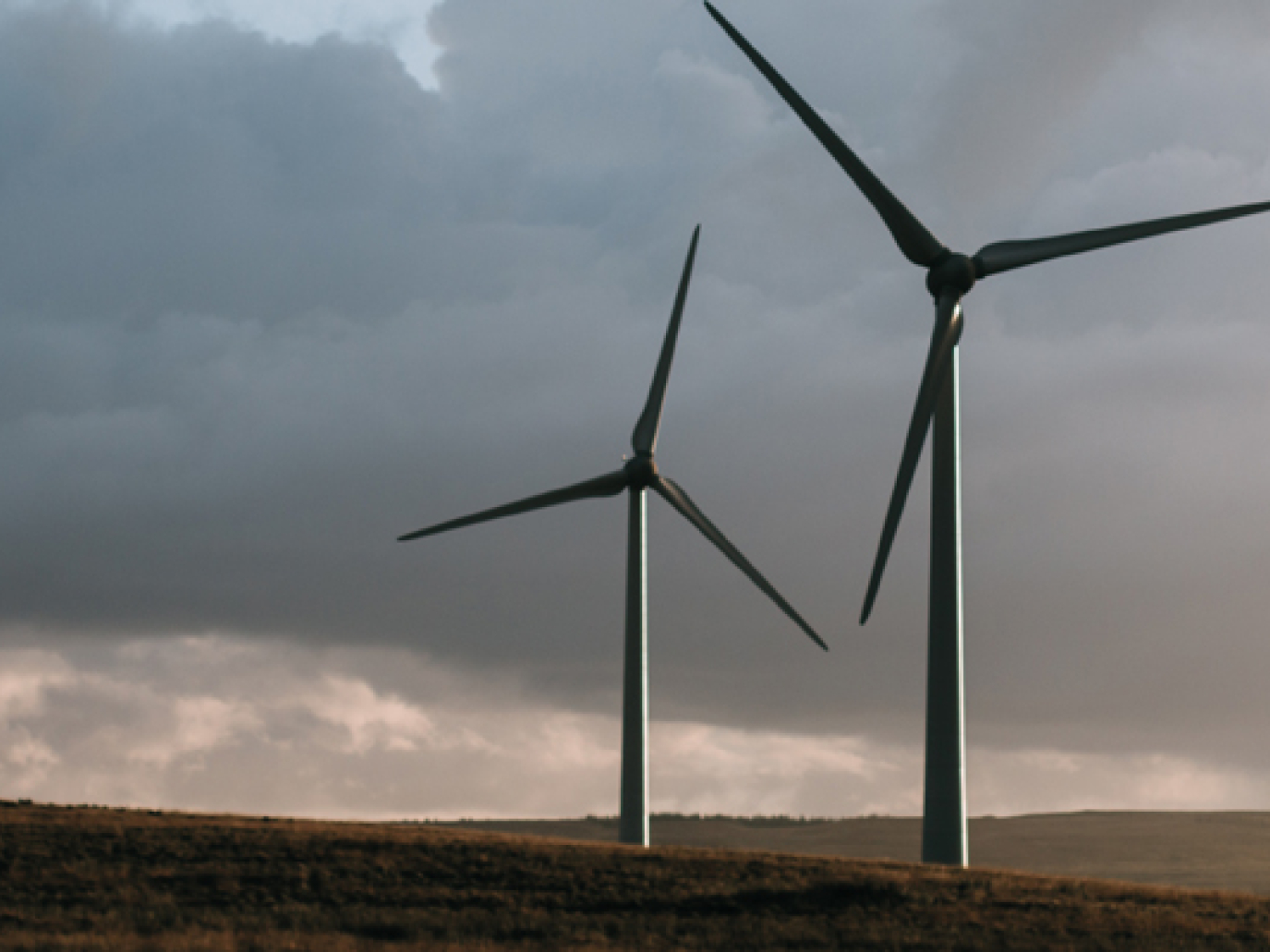 Future-Proof Incubators: Between Work and Innovation