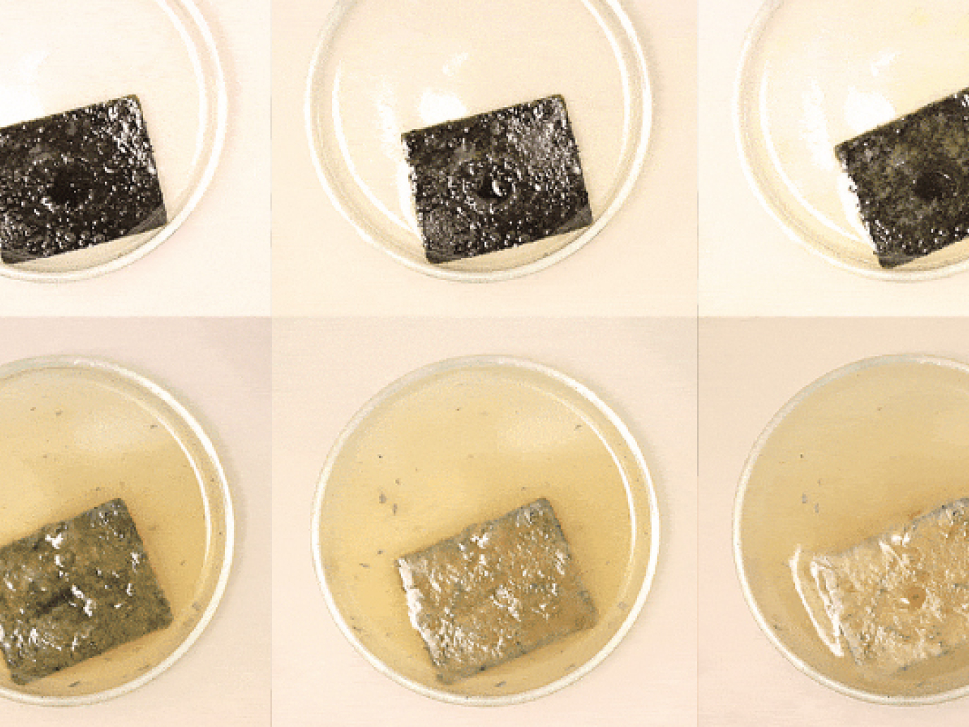 Una plastica intelligente progettata per la circolarità  chimica