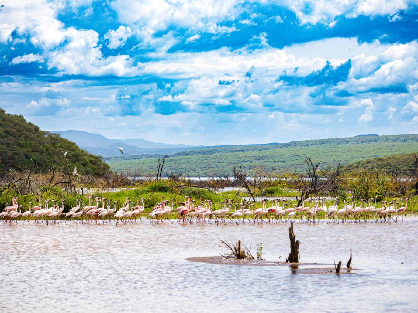 Fermare l’innalzamento dei laghi della Rift Valley