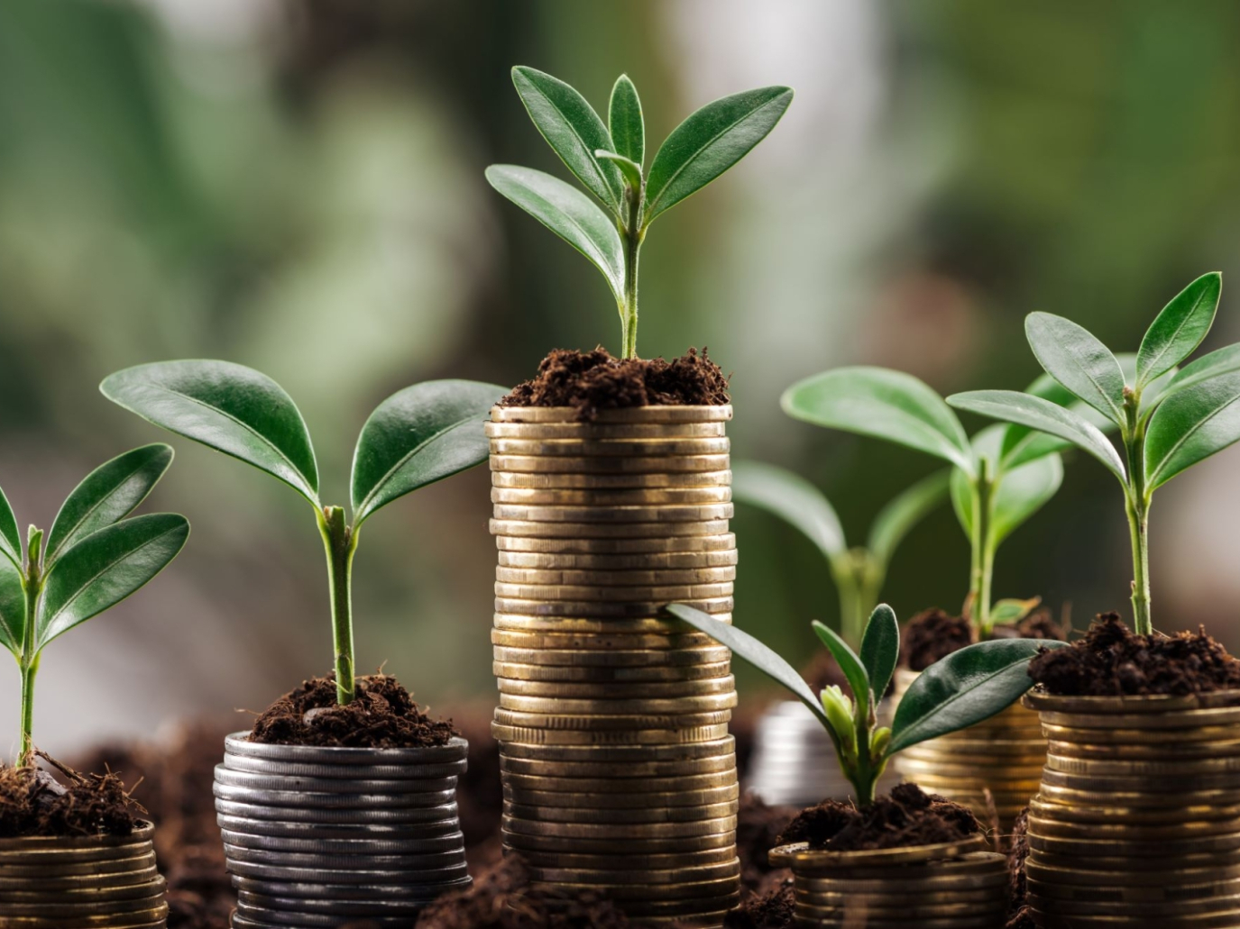 Il fallimento di Credit Suisse e le conseguenze sull’azione climatica