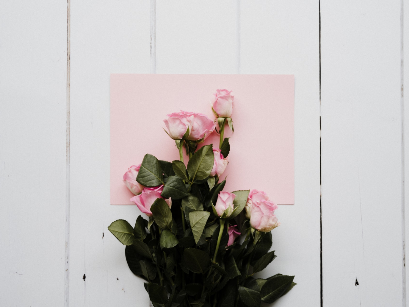 Fiori per San Valentino? Sì, ma sostenibili