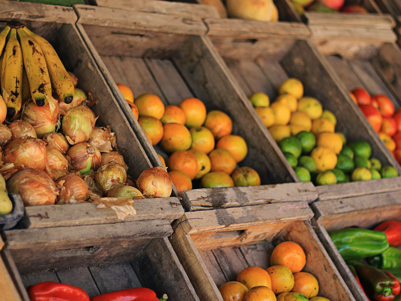 Food: sempre più aziende del settore alimentare guardano all’economia circolare
