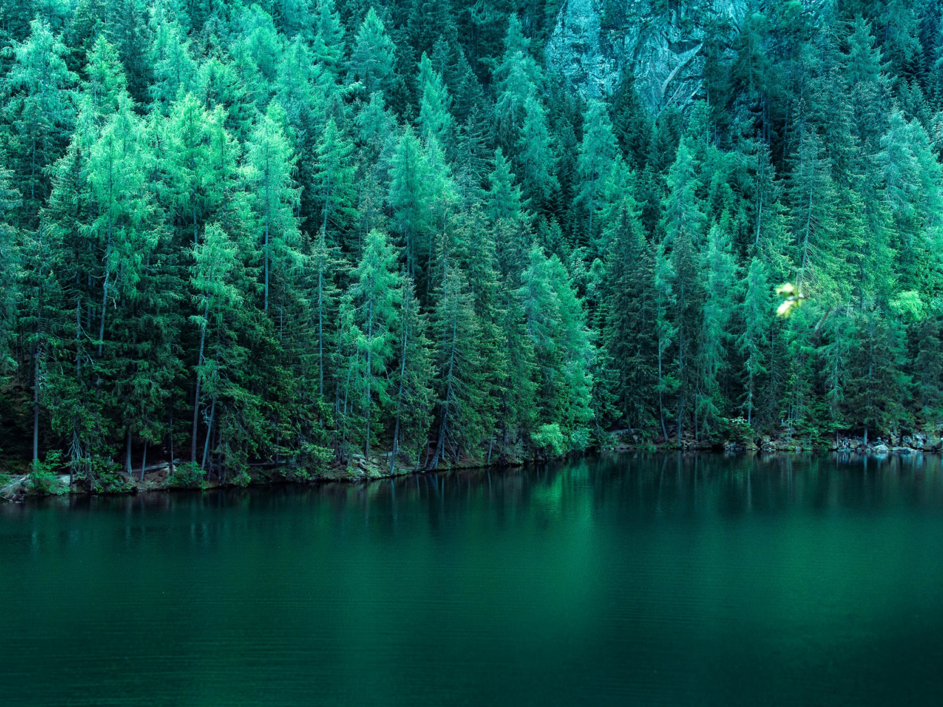 L’Italia adotta la sua strategia forestale