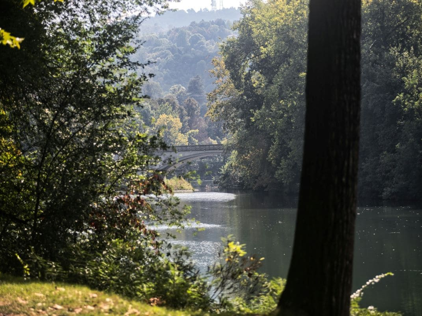 Forum biodiversità nel distretto del Po 2025: appuntamento il 12 e 13 marzo