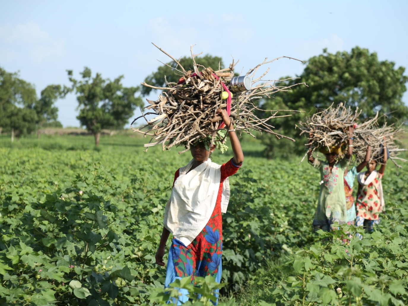 Gender gap, Onu: per colmarlo servono 360 miliardi di dollari all’anno