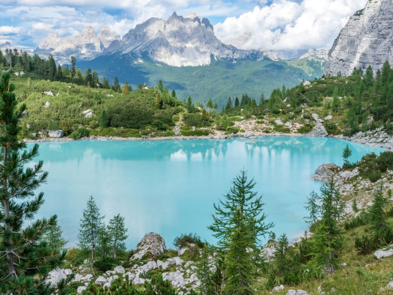 Riportare la Natura dentro l’architettura: la terza edizione del Biophilia Camp