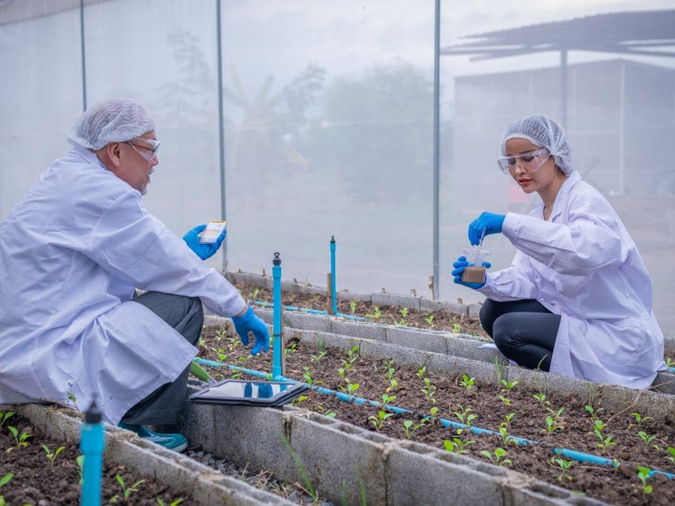 Giornata della bioeconomia 2025, un evento per la ricerca e l’industria