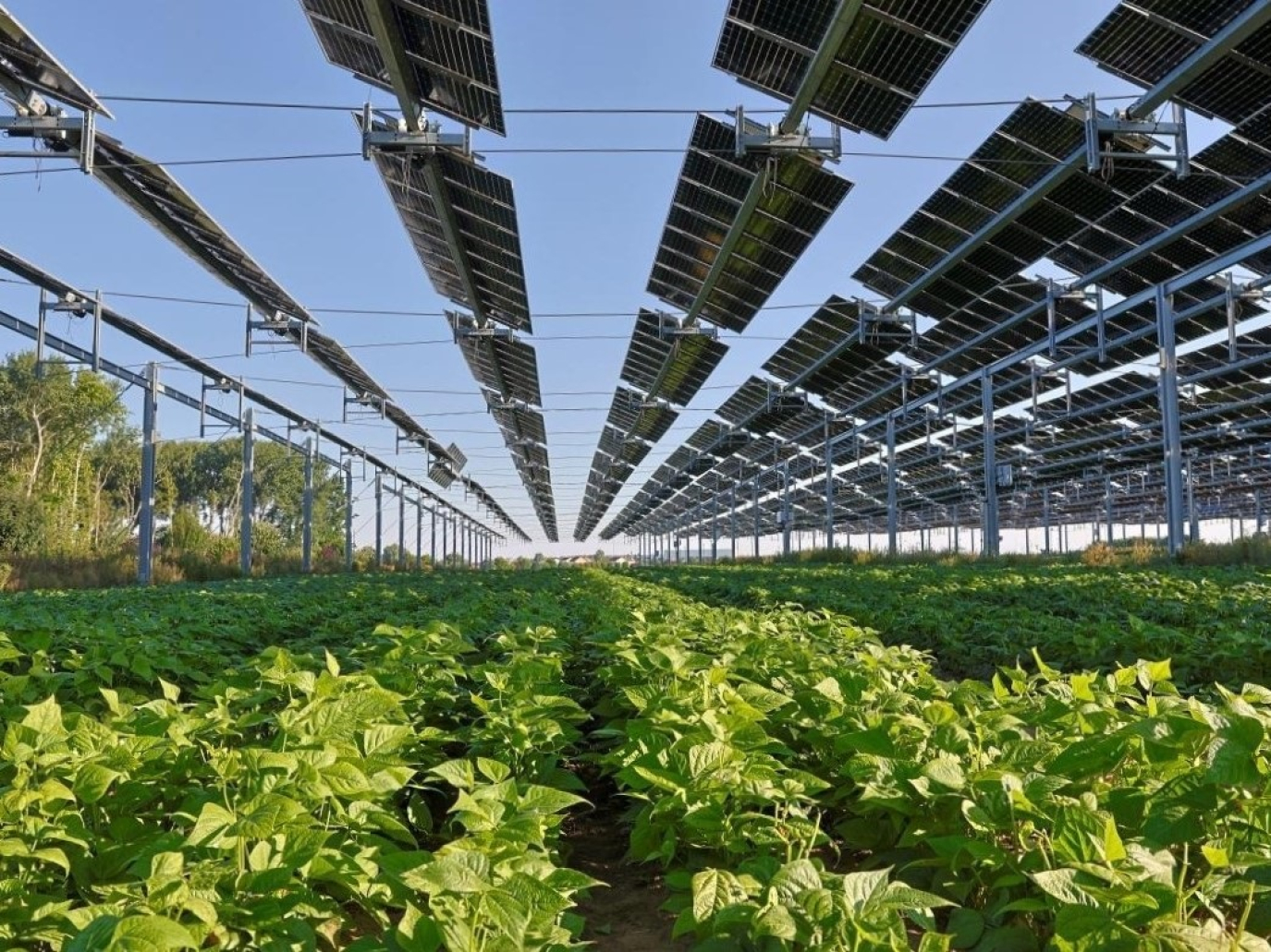 Gli USA chiedono all’UE di allentare le regole ambientali ma le aziende protestano