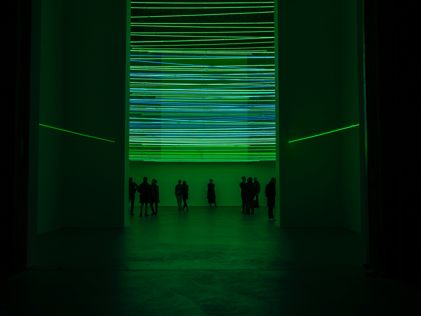 Green jobs: le competenze verdi? Importanti come il digitale e la lingua italiana