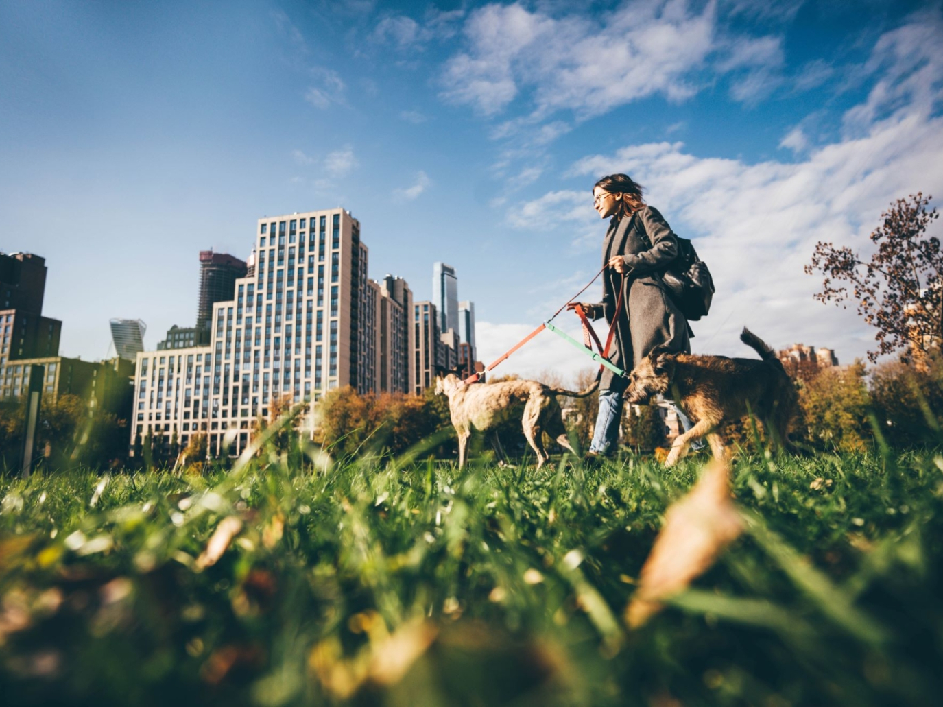 Città più verdi salveranno vite
