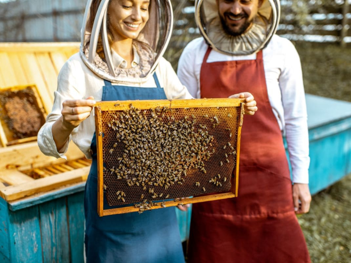 Haiki+ intraprende un nuovo progetto di tutela della biodiversità