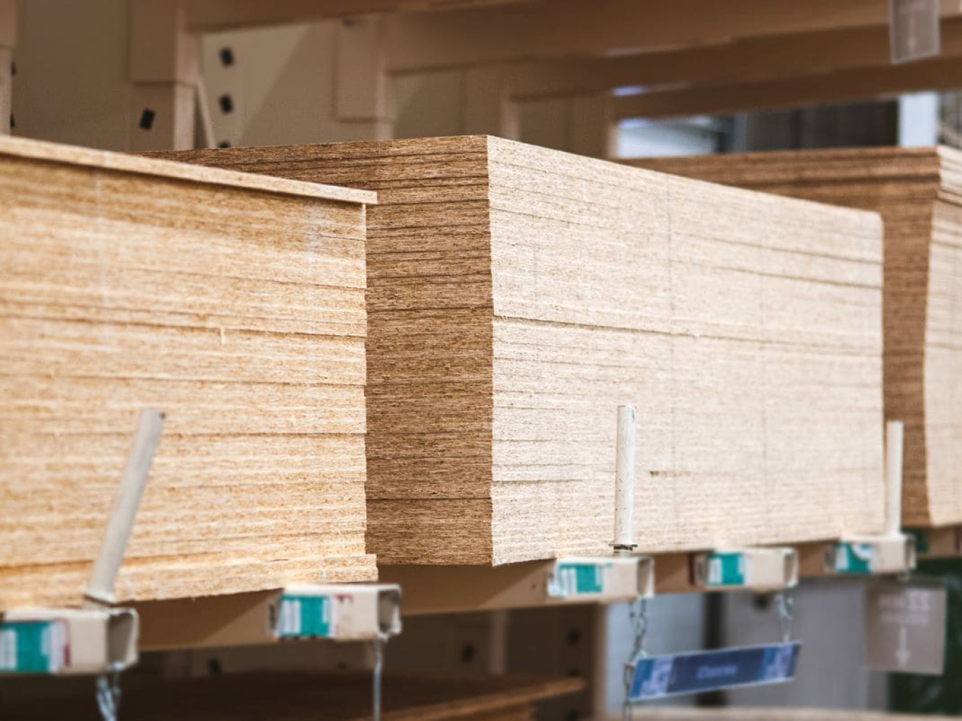 Il legno illegale russo che aggira le sanzioni e arriva in Europa