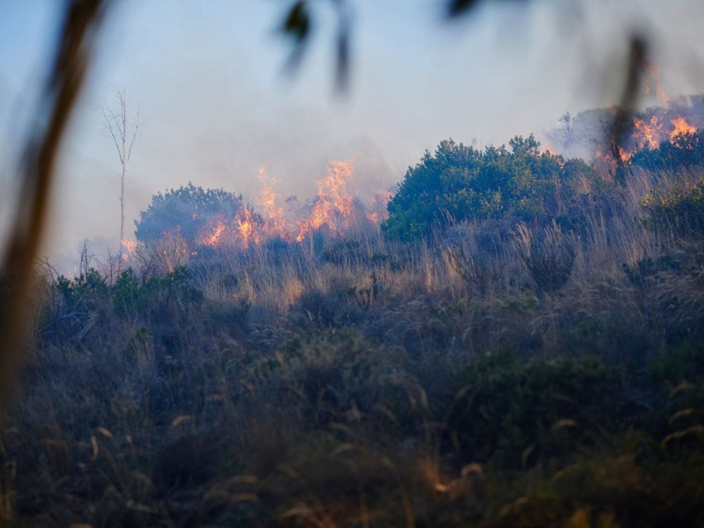 Incendi, aumentano l’intensità e la durata in Europa e Nord America