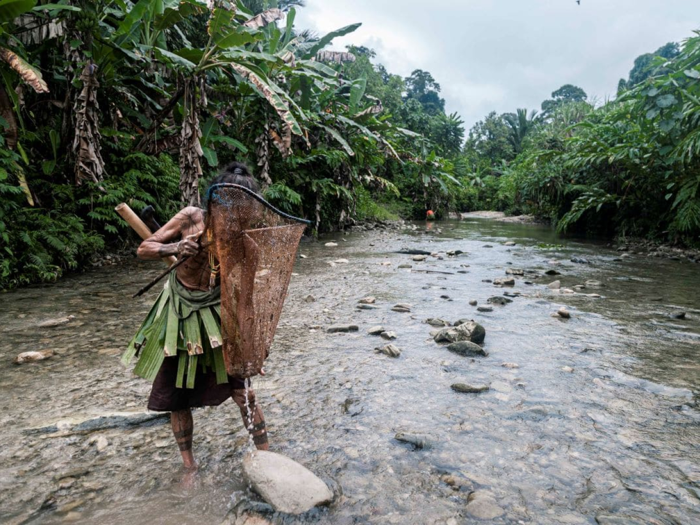 Come integrare le conoscenze per conservare la biodiversità amazzonica