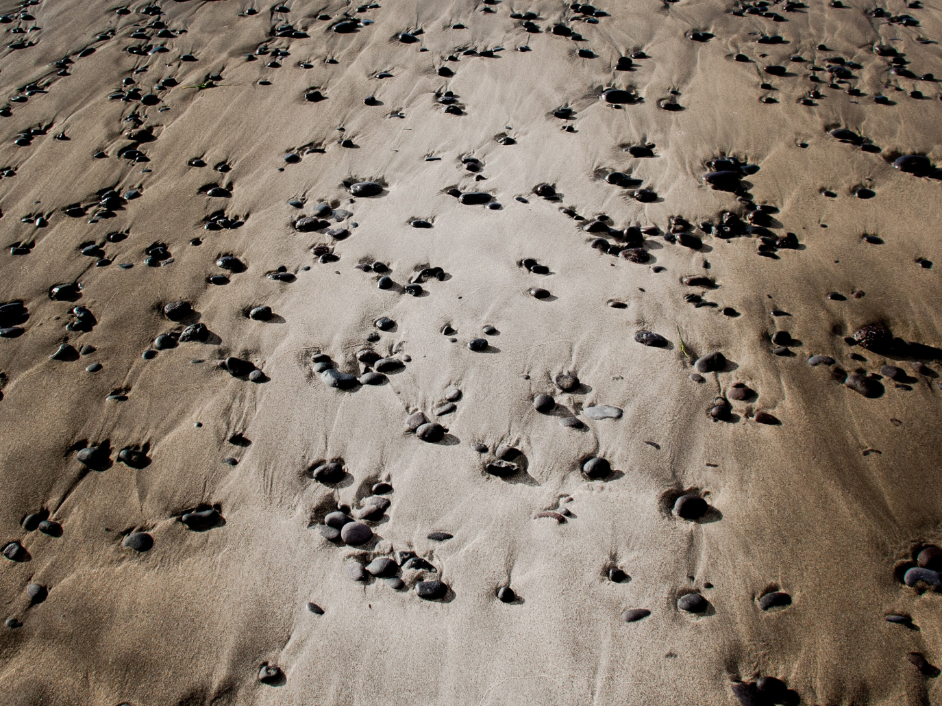 Suolo, cibo, emergenza siccità: a fine luglio il Simposio FAO