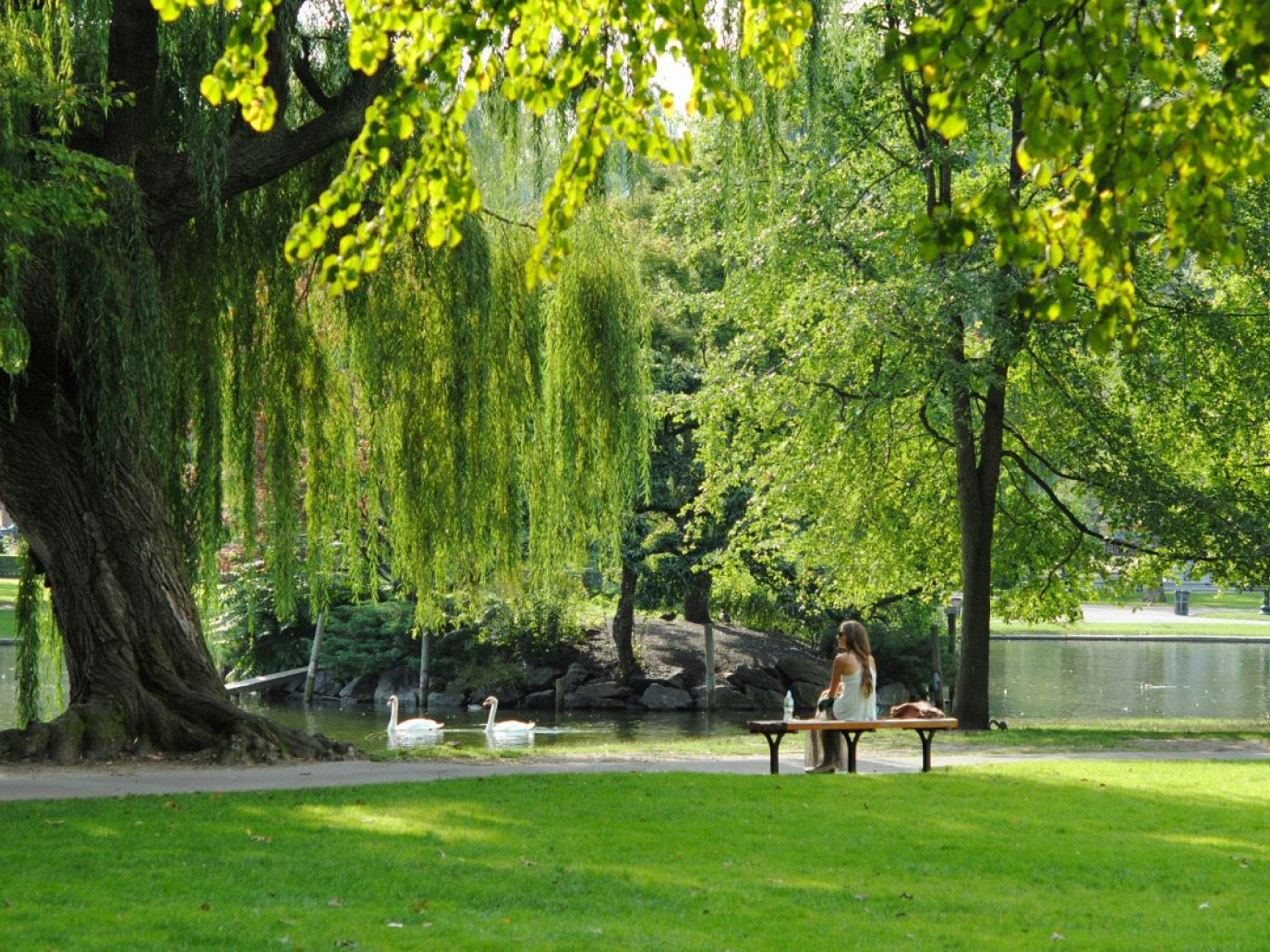 Giornata mondiale dell’habitat 2024: le 10 città più naturali d’Italia