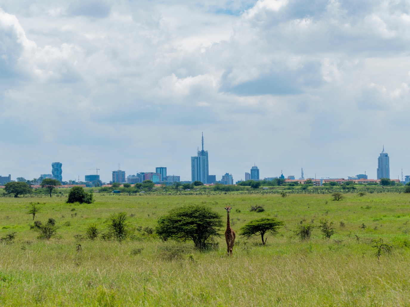 Kenya kicks off the first Africa Climate Summit