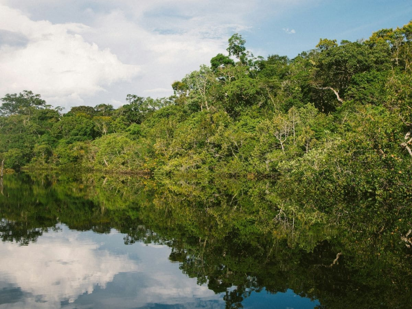 Water at the heart of COP30: what to expect after the Baku turning point