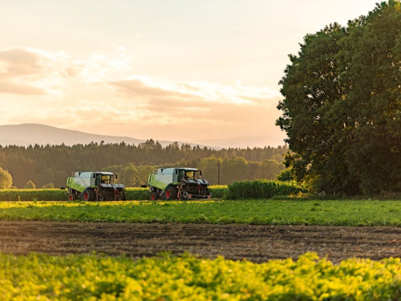 La bioeconomia italiana vale più di 426 miliardi di euro: i dati 2024
