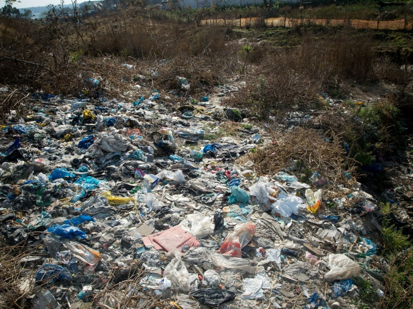 La Legge ecoreati compie 10 anni: il bilancio è positivo ma resta tanto da fare