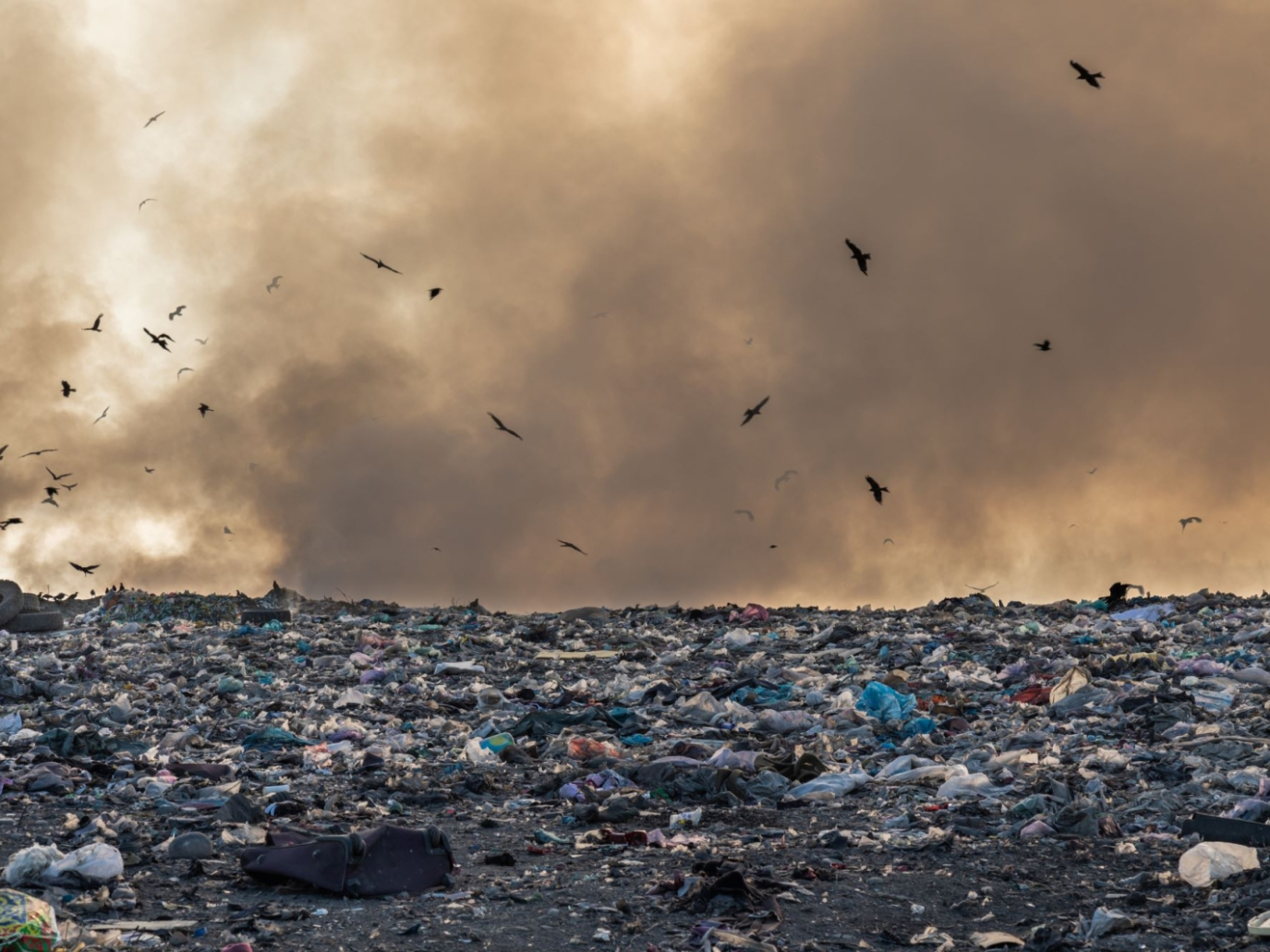 India, brucia la discarica di Delhi alta 65 metri