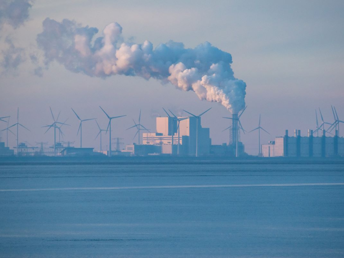 Emissioni, il target UE per il 2040 includerà i crediti di carbonio?